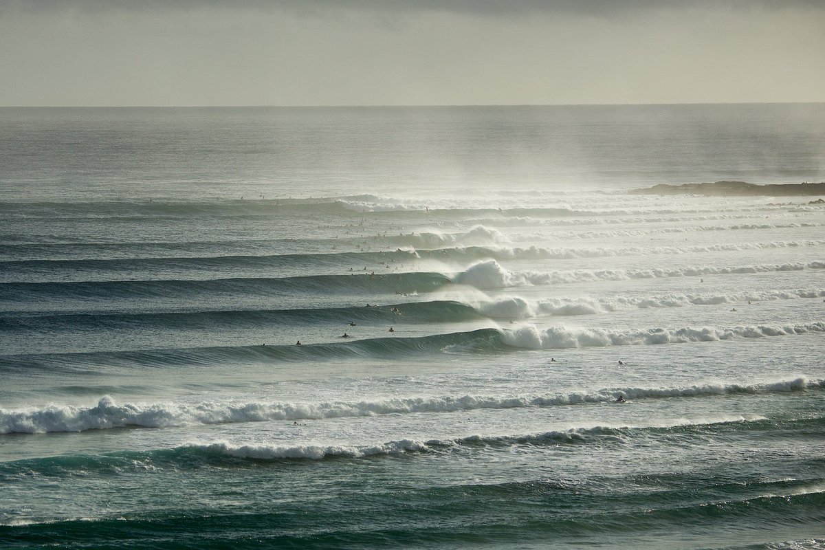 SURFER tweet media