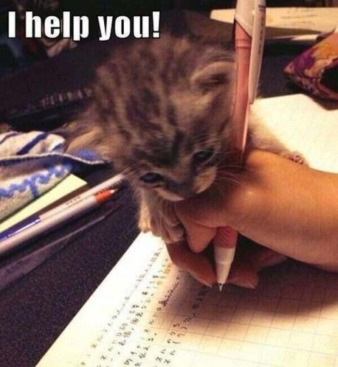 Catelysium's tweet photo. RT @Cats: Well thank you! … https://t.co/gErxOZHAbJ https://t.co/TuudMfGGHs