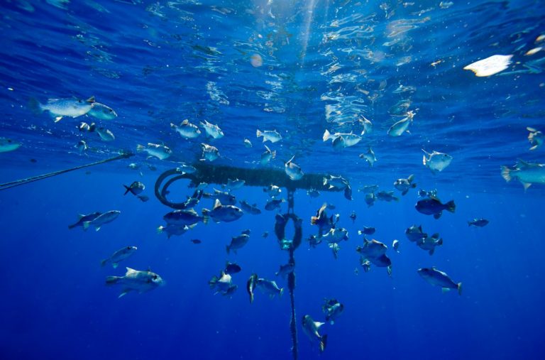OceanChampions's tweet image. Indonesia's fight to #EndOverfishing has hit a fish-aggregating block. ow.ly/r7MG308PAqp