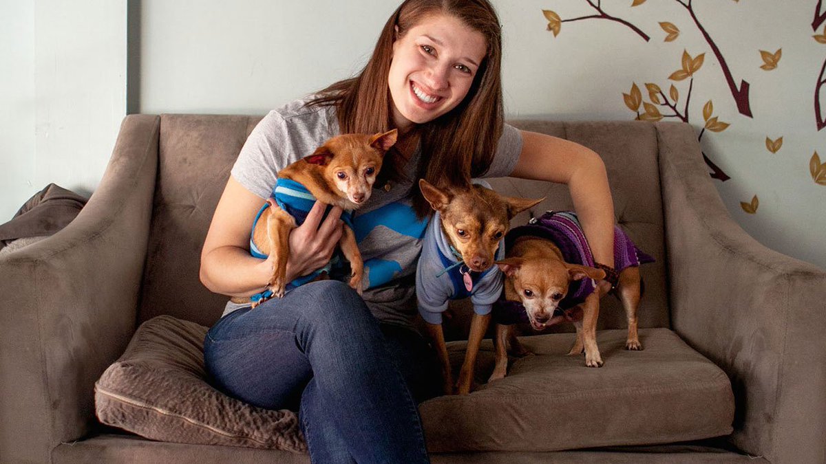 HelainaHovitz's tweet image. #TBThursday Why She Quit Her Job to Save Shelter #Dogs: hopefulheadlines.org/2016/03/28/she… @Headlines4Hope @Foster_Dogs @Dog_Matchmaker #AdoptDontShop