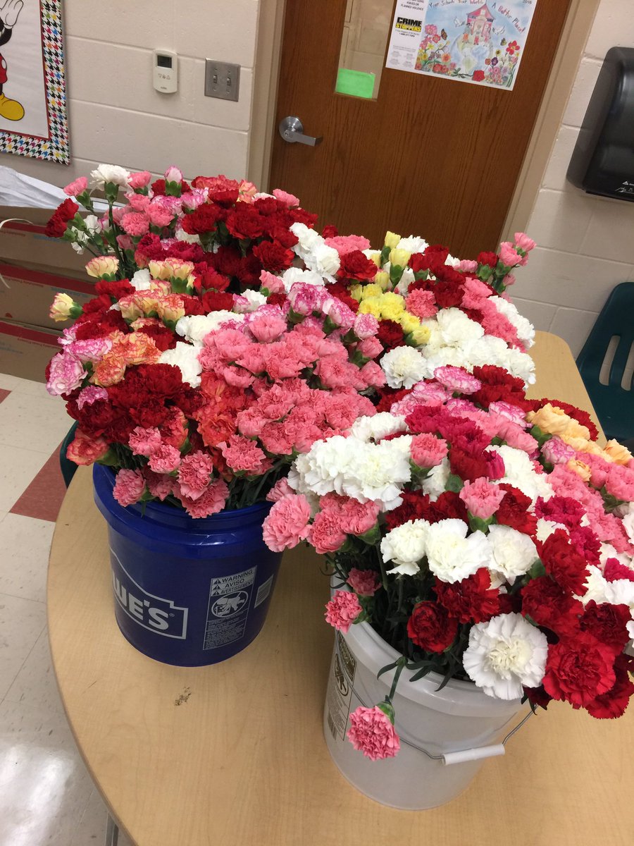 jmcollins103's tweet photo. Time to sell some flowers! #RSMSGators #SGA #carnationgrams https://t.co/LnOqAdGbuO