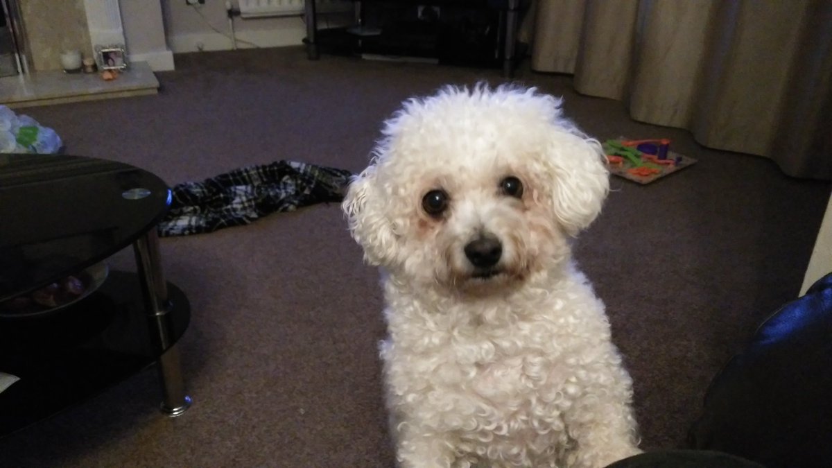 Are you sure there's nothing left for me?