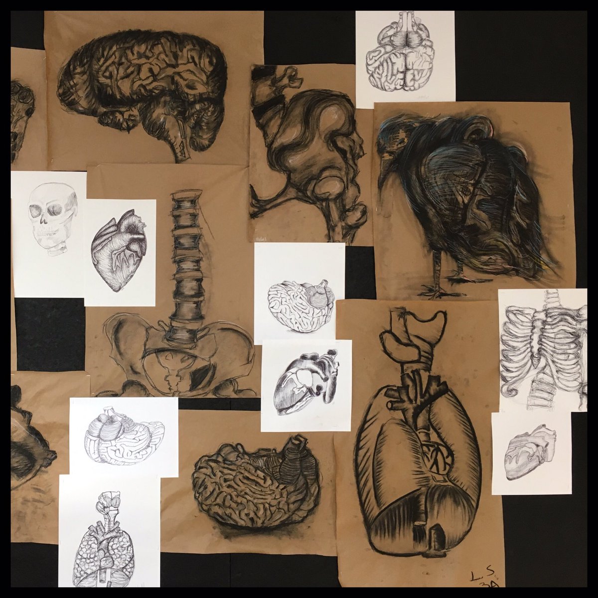mslandersart's tweet photo. @NAWarriors Art students drawing anatomy from models Thx @DonorsChoose for the grant award @APSFineArts @nahs_faf @12thNAHS https://t.co/f6V13tc2CT