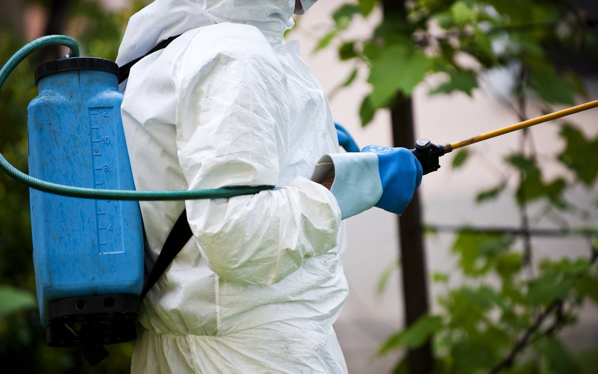 CannabisOnFire's tweet image. California's #Cannabis Testing Regulations ... google.com/url?rct=j&amp;amp;sa=t… via @cannabisonfire5 #pot #medicalcannabis