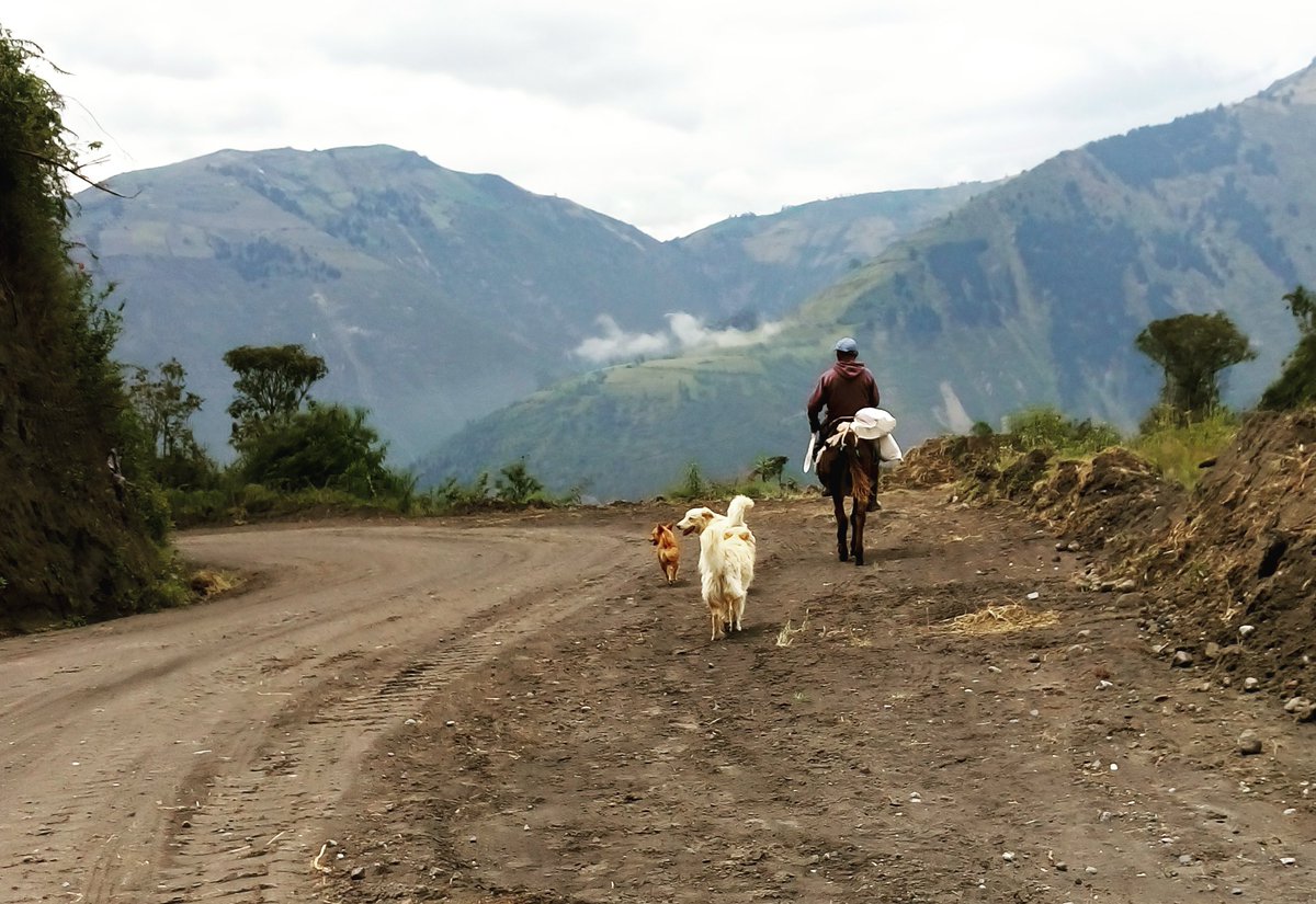 cevallosccm's tweet photo. Al campo no llega la política...
Si no produces no comes.
#Penipe 
#Riobamba https://t.co/pxx9izJfZO