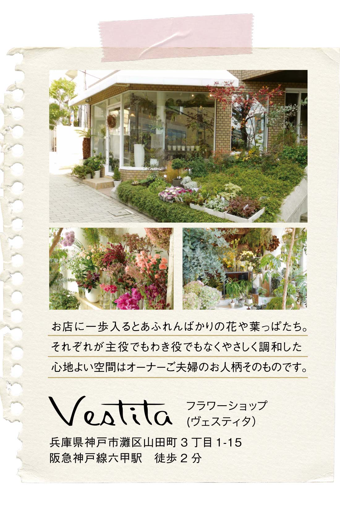 Uzivatel シロップ 春の新作デビュー Na Twitteru 神戸 六甲の素敵なお花屋さん Vestita ヴェスティタ さんとのコラボｔシャツ アレンジしてくださった２種類のブーケを大きくプリント 手を添えると まるで花束を抱えているみたい どちらもかわいいね