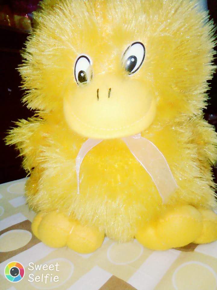 SkAsikkhan's tweet photo. Happy Teddy day https://t.co/j0fhZN4MjR