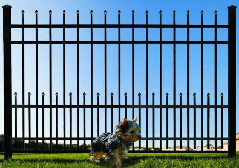 ClareYang12's tweet photo. Fence with pet guards !  Welcome to visit our website !😀 https://t.co/JfbRgKCXiJ