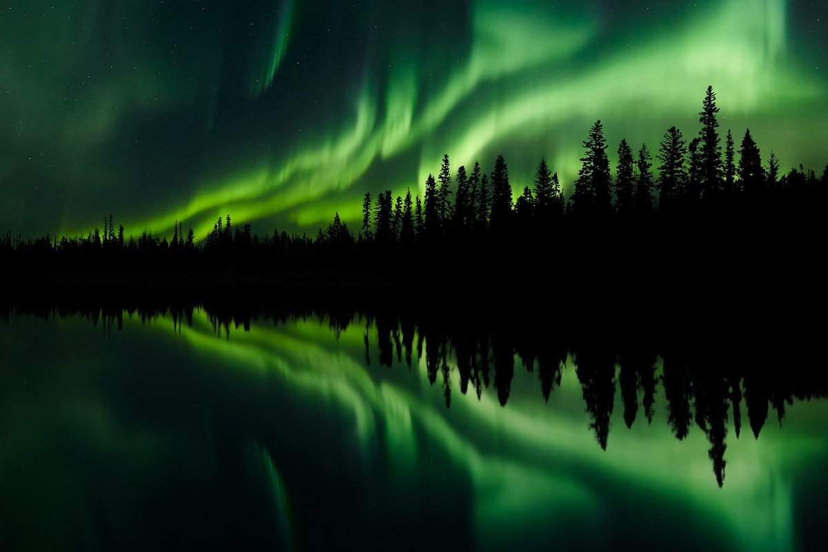 RejeanLandscape's tweet photo. Clearwater Lake, #Manitoba - such a magical place! 
Prints: https://t.co/BzrksKI8T1 #explorecanada #auroraborealis #northernlights https://t.co/0tX1eECI7y