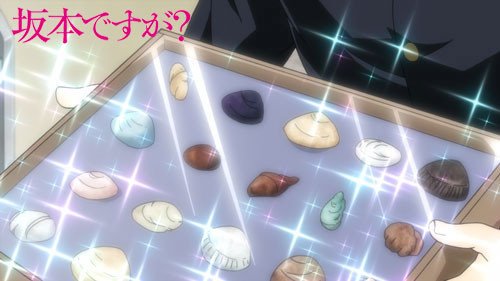 【明日開催】貝類館での「貝殻の詰め合わせ作り」が、いよいよ明日2/11（土）に開催！お気に入りの貝を選んで、オリジナルの詰め合わせを作ってみませんか。なお、インフルエンザの流行を受け、「ほら貝吹き体験」はお休み中です⇒nishinomiya-style.jp/sakamoto/　#坂本ですが？