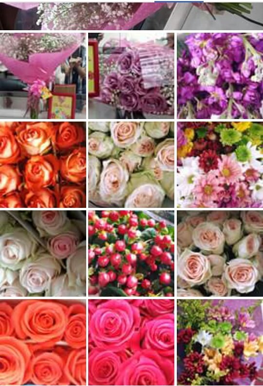CheyNde's tweet photo. Las #flores siempre encajan en cualquier lugar y espacio, es su naturaleza💐
Hacelo parte de tus momentos
#DeciloconFlores #Rohayhu #ilove💕 https://t.co/7SJdG4UvwH