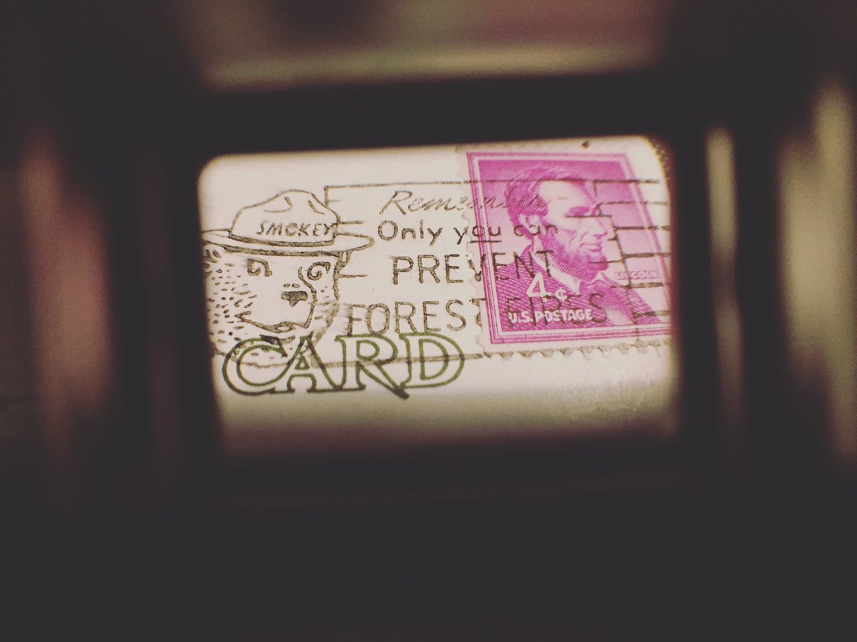 postcardinal_'s tweet photo. For those who appreciate the small things.  https://t.co/ntZcKYYXXn. $4. https://t.co/jR1tmcFblN