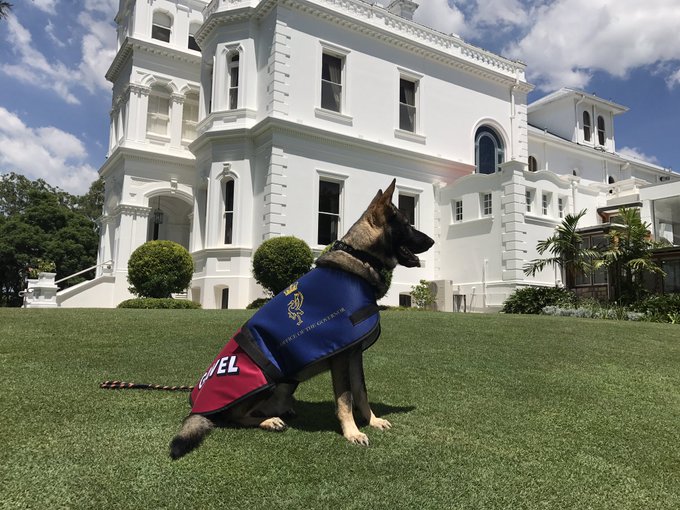 Ver imagen en Twitter