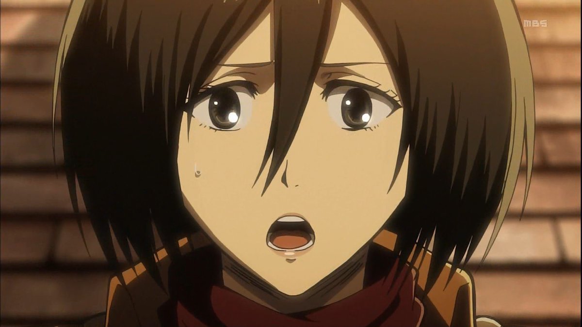 柏木 ミカサ アッカーマン生誕祭17 ミカサ アッカーマン生誕祭 2月10日はミカサ アッカーマンの誕生日 進撃 の巨人 Rtした人全員フォローする