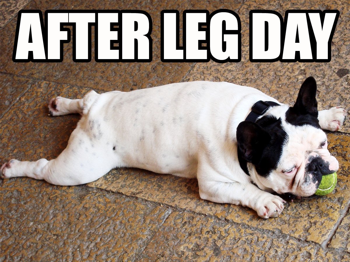 Have you started training for #themarchcharge yet? March is fast approaching, so register today and get ready! ow.ly/lWuN308HWbN