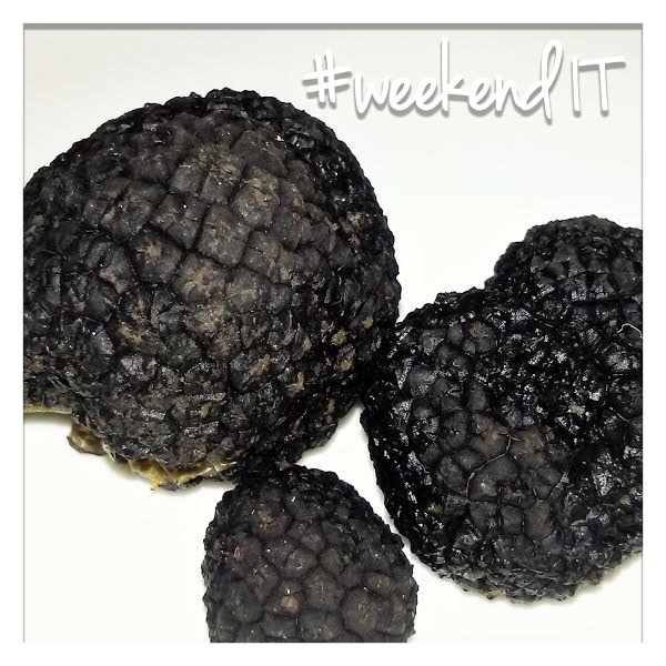 miitalytravel's tweet photo. You have a free weekend? 2days in #Marche for #truffle hunters! https://t.co/fljJsXwnhC #trufflehunting #miitalytravel #MarcheWOW #weekendIT https://t.co/OwWmR6veU2