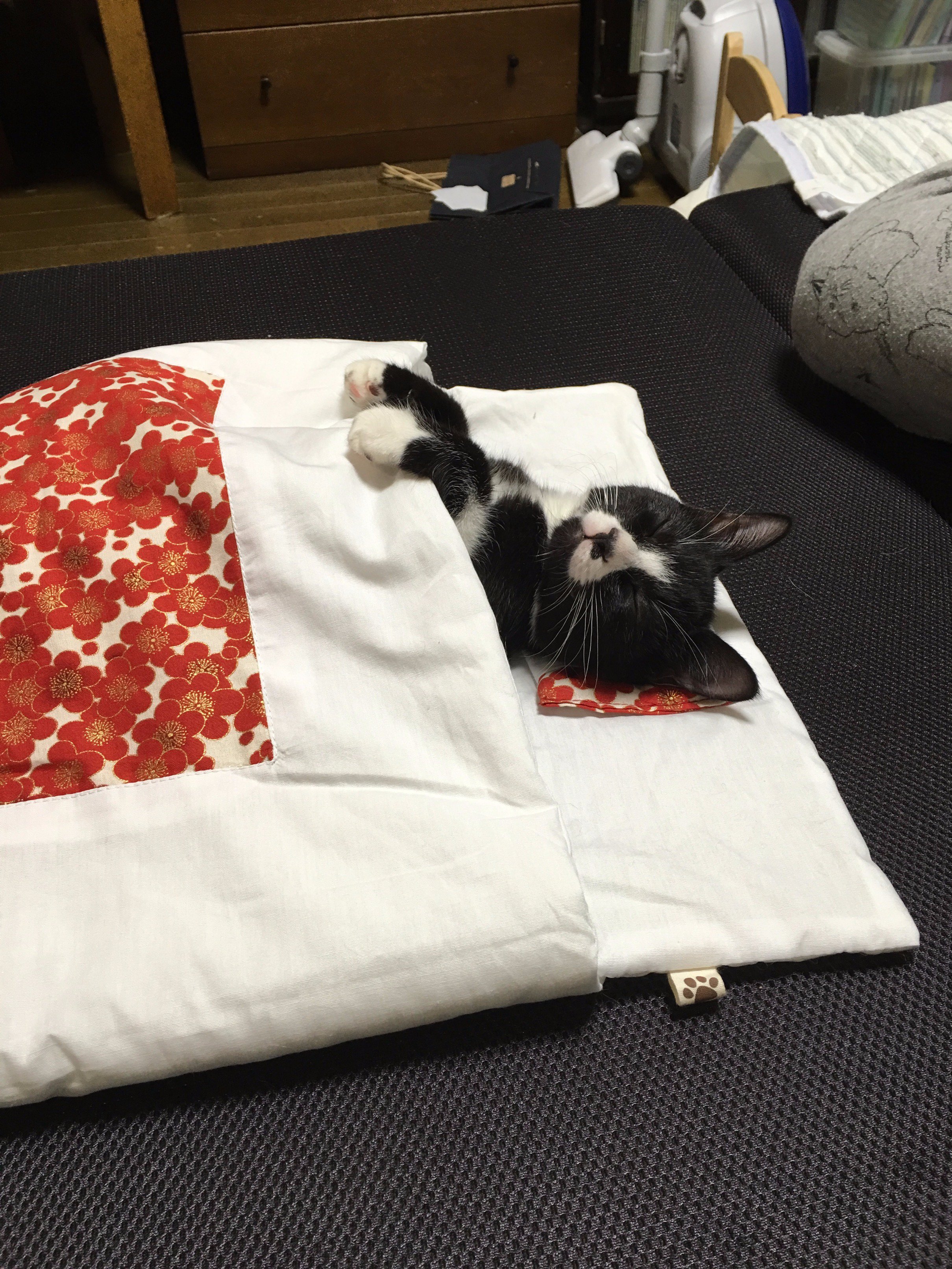フェリシモ 猫部 今日2月10日はふとんの日 猫にもふとんを買ってあげよう T Co Whszyrb7bc ふとんの日 布団の日 T Co Cfggi2pjf6 Twitter