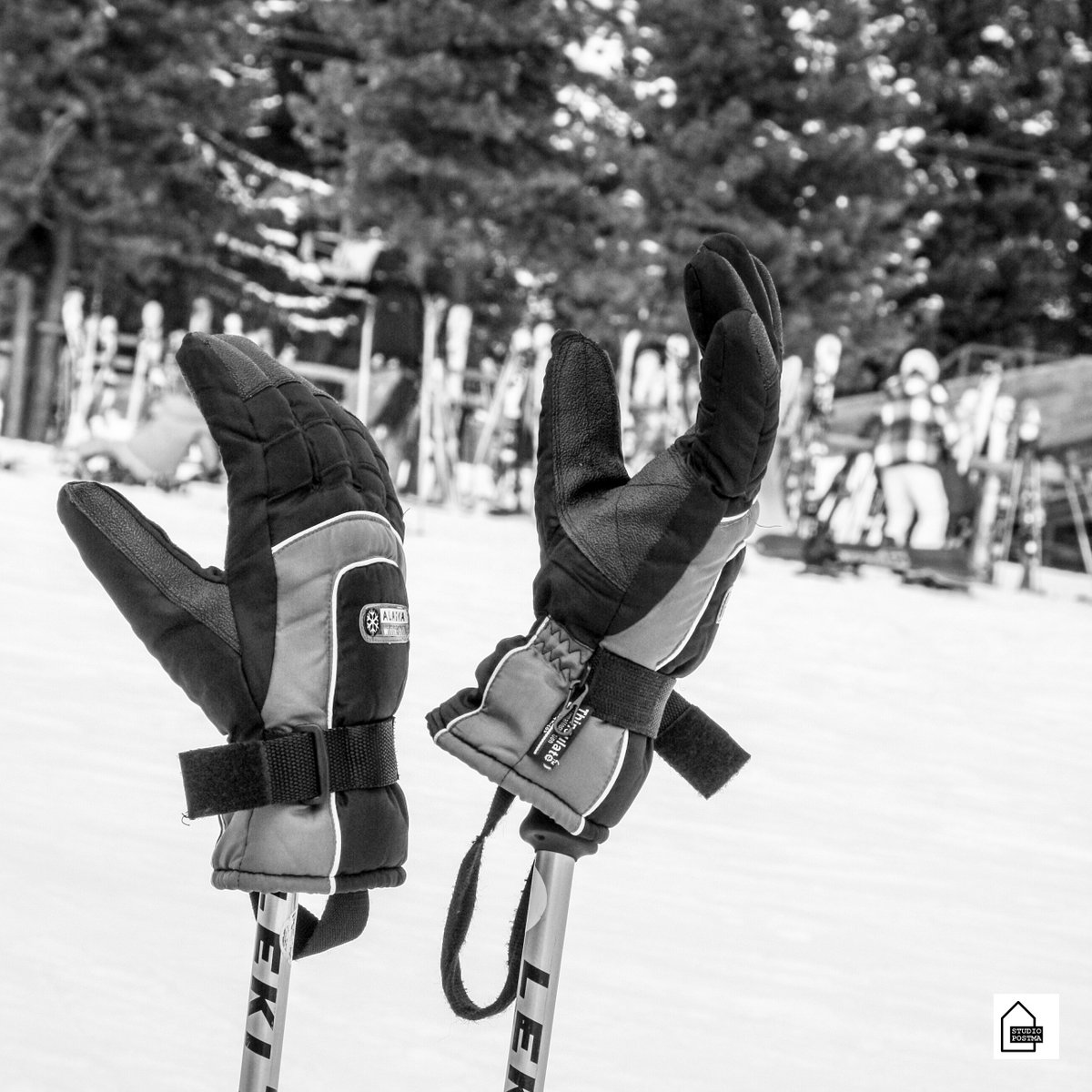 StudioPostma's tweet image. Het wordt #vandaag weer een mooie #koude #dag #happyfriday, #muts op #sjaal en #handchoenen aan als je vandaag lekker naar #buiten gaat!