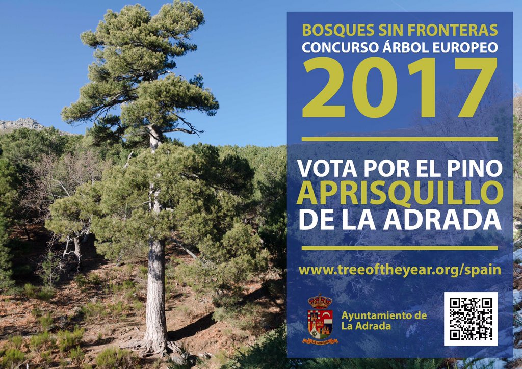 ROBERxLAADRADA's tweet photo. Necesitamos vuestra ayuda para conseguir todos los votos y que el representante español, nuestro Aprisquillo gane el #treeoftheyear 17. https://t.co/nhs2uskyxU
