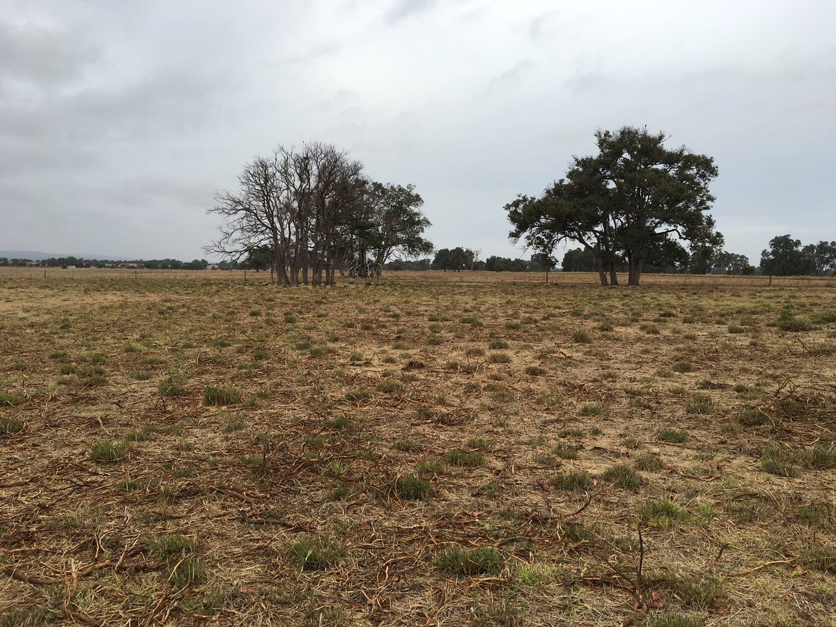 pbl1972's tweet photo. From this to this in 12 days! #amazing #gattonpanic #summerrain https://t.co/xUA69dFsb3