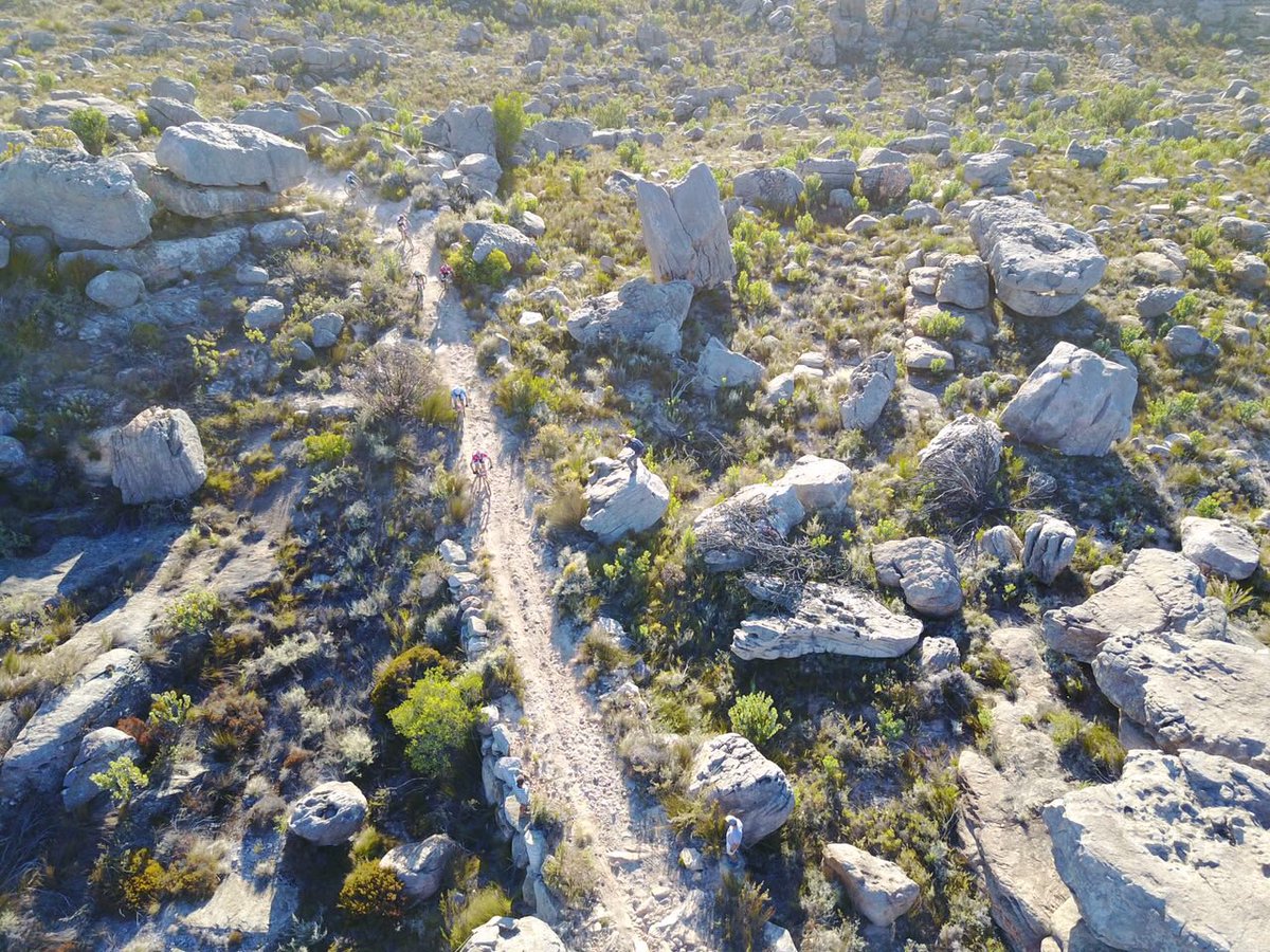 Tankwa Trek tweet media