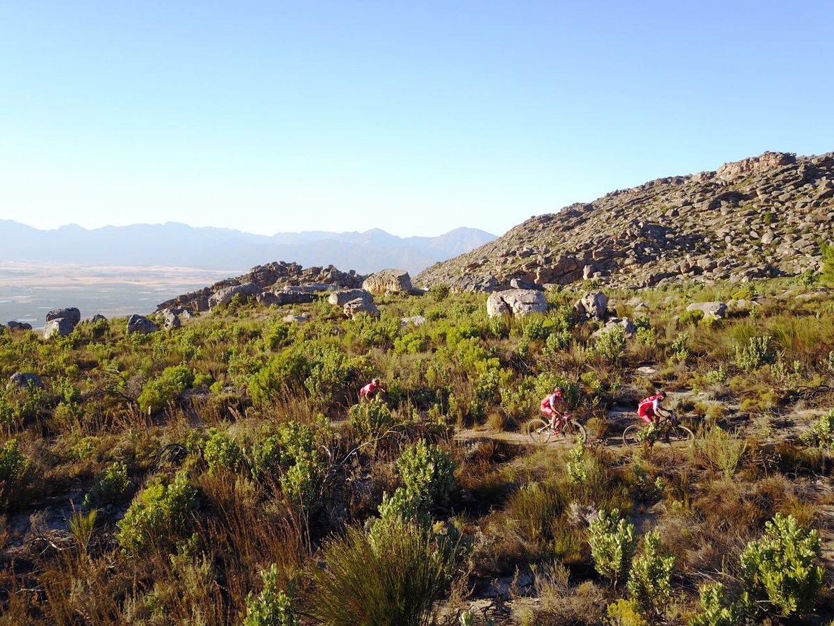 Tankwa Trek tweet media