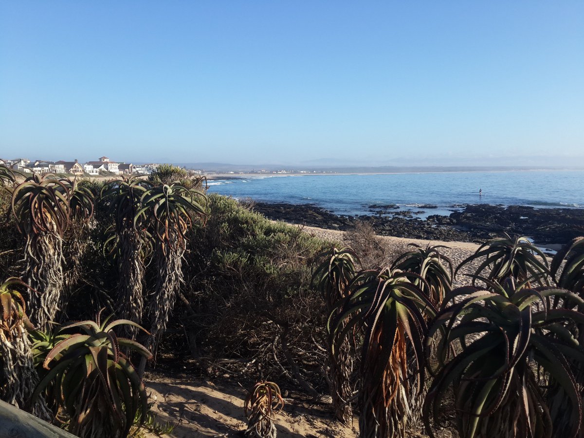 Primed for the weekend. Stunning morning in #jbay.
#jbaydawnpatrol <a href="/FeralAfrica/">#adepttrader</a>