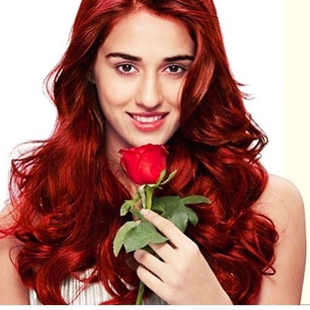 BollyScenes's tweet photo. Valentine's Mood of @DishPatani https://t.co/8oTFp3LgiC