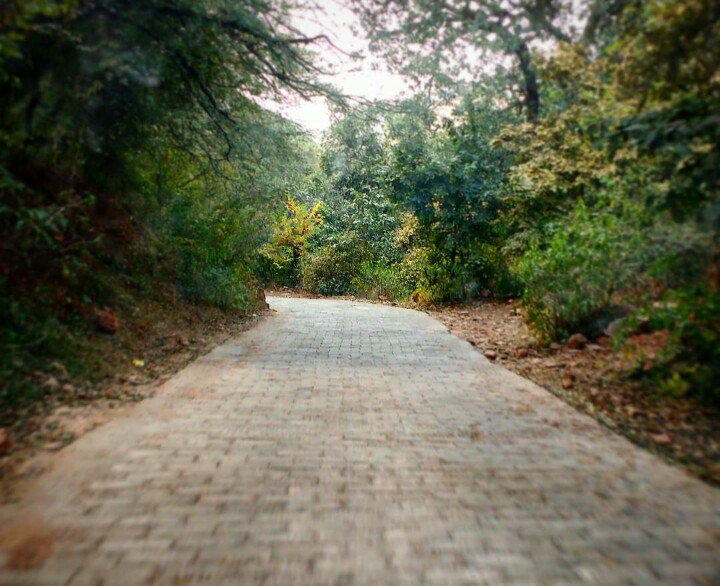 IncrediblePie1's tweet image. #IncrediblePics📷47 incrediblepie.wordpress.com/2017/02/10/inc…