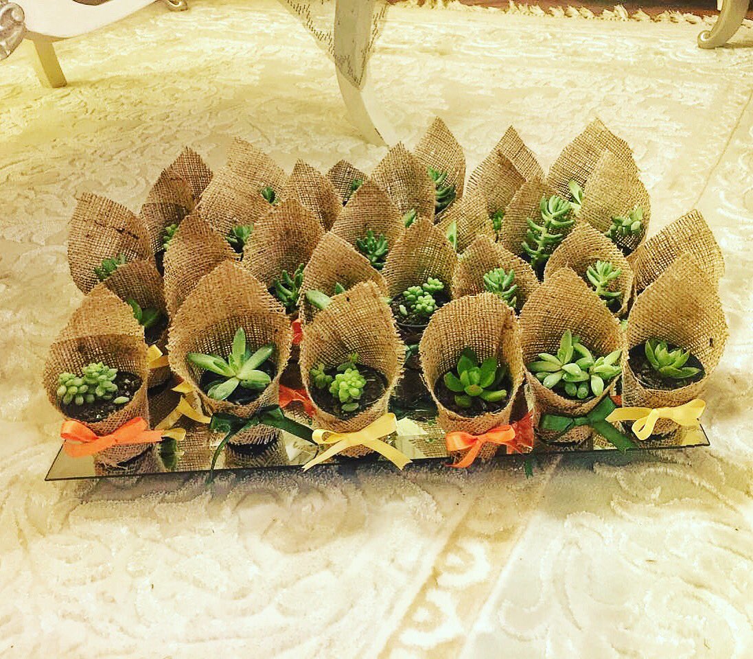 BabelCollection's tweet image. #doğumgünü #düğün #kına #kınagecesi #nişan