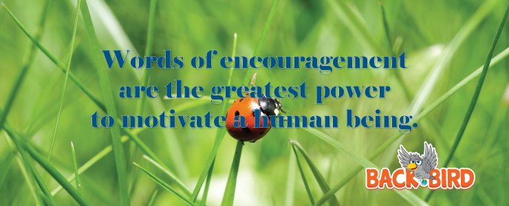 BackBirdGame's tweet image. Words of encouragement are great power to motivate
backbirdgame.com/wisdom-of-back…
#bb #backbird #backbirdgame #game #mobilegame #dialog #wisdom