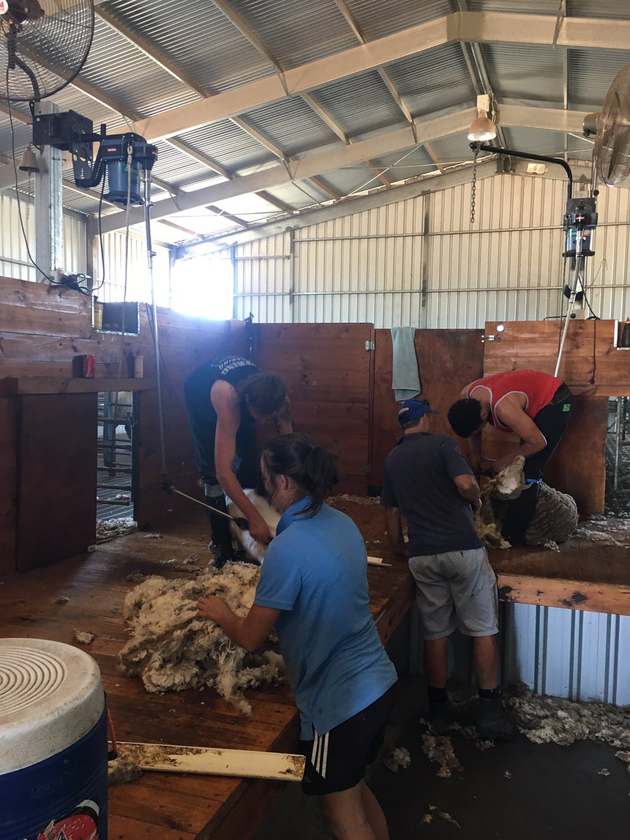 KinnairdPav's tweet photo. Early start to the day and coverd some kms #lovecaraircon #techwool https://t.co/LSEt8WVaJz