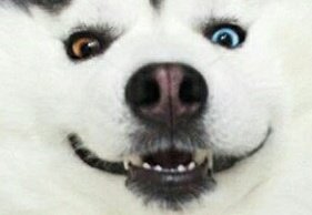 MARU 🐼 tweet media