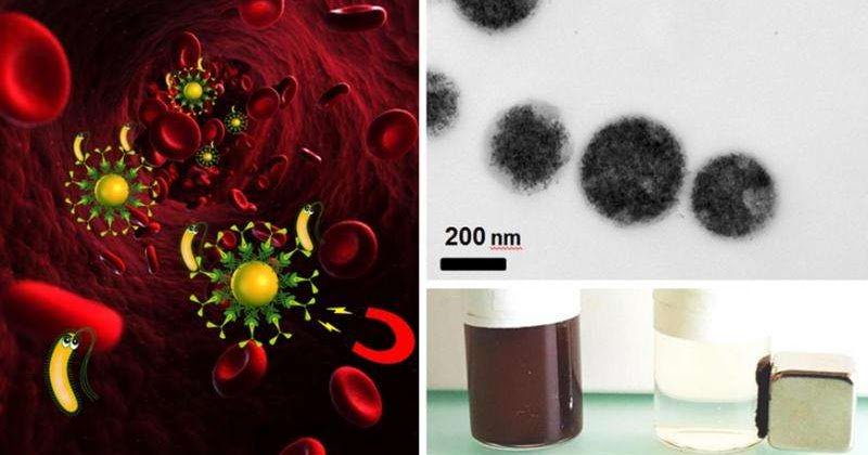 Okudunuz mu? Enfeksiyonlardan mıknatısla kurtulun! dlvr.it/NL9L3j #7saniye #Saglik #İlginç_bilgiler