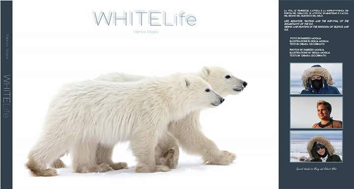 NATURECOLORS1's tweet photo. @darwinmuseum 
https://t.co/GMaj7kYQXF
#FabrizioMoglia #wildlifephotographer
#GiuliaMoglia #natureillustrator
https://t.co/EVc84whD85 https://t.co/2dPxbeyuIU