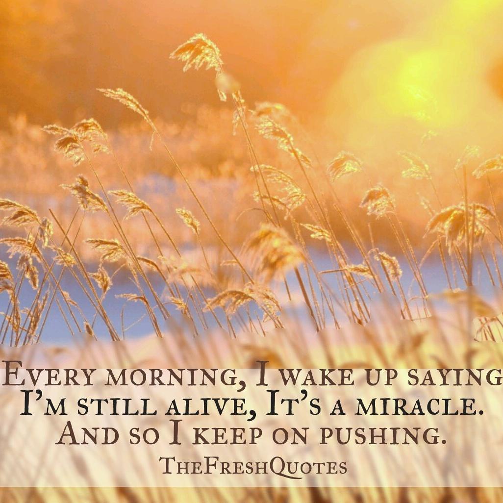 ChaiBora's tweet photo. Just keep moving. https://t.co/yrjixx4lcR