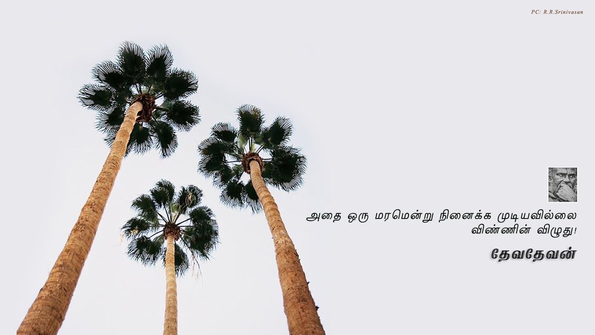 sanja_srini's tweet photo. #DevadevanForDesktops #தேவதேவன் #Devadevan https://t.co/5XXO7iGKDn