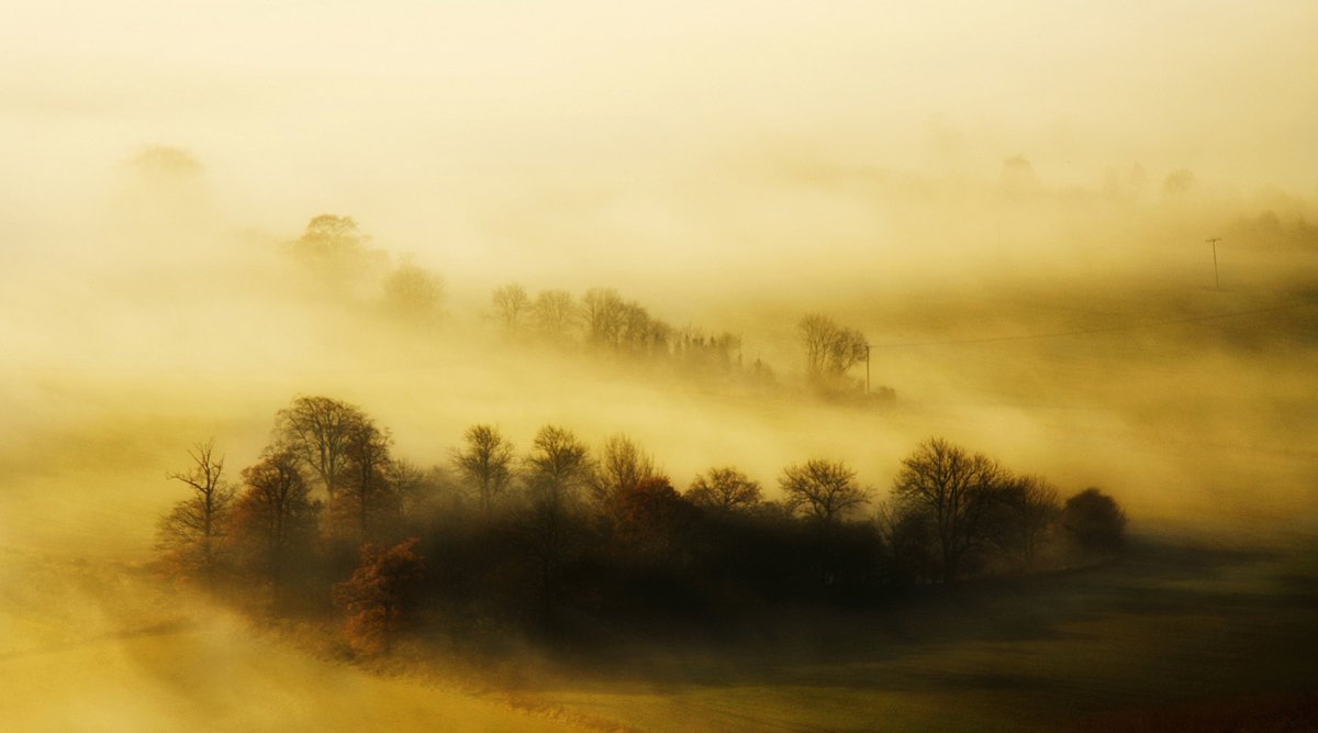 lemnsissay's tweet photo. We are the gift    
The sun kissed    
We bring light   
We breathe mist https://t.co/vZcP6pm3GF