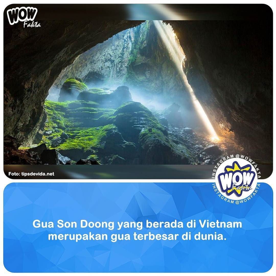 ift.tt/2kaKwHs [#wowfakta] Gua yang dikenal dengan Gua Son Doong ini, merupakan yang terbesar di dunia. Gu…