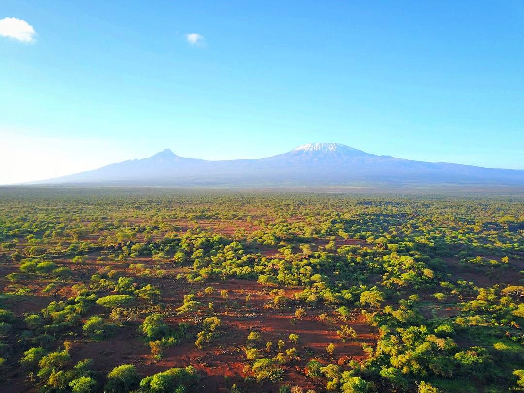 Kenya Pics tweet media