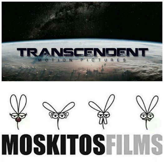 MoskitosFilms's tweet image. We are extremely proud to announce our partnership with #TranscendentMotionPictures #filmfinancing specialist dm us to learm more....