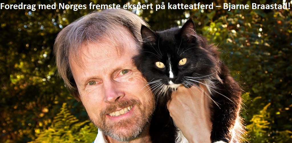 SWS_2017's tweet photo. https://t.co/NfalwzKdXM

Mye kattemorro på Scandic Lerkendal 29 og 30 april, bl.a flere foredrag. https://t.co/ssb5UvIUwI