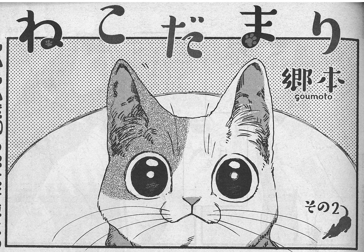 週刊漫画times 公式 En Twitter 週漫2 24号は本日発売 猫とolのゆるゆる同居コメディー ねこだまり 郷本 は ニンゲンと暮らす3匹の猫たちが設けた ルール とは