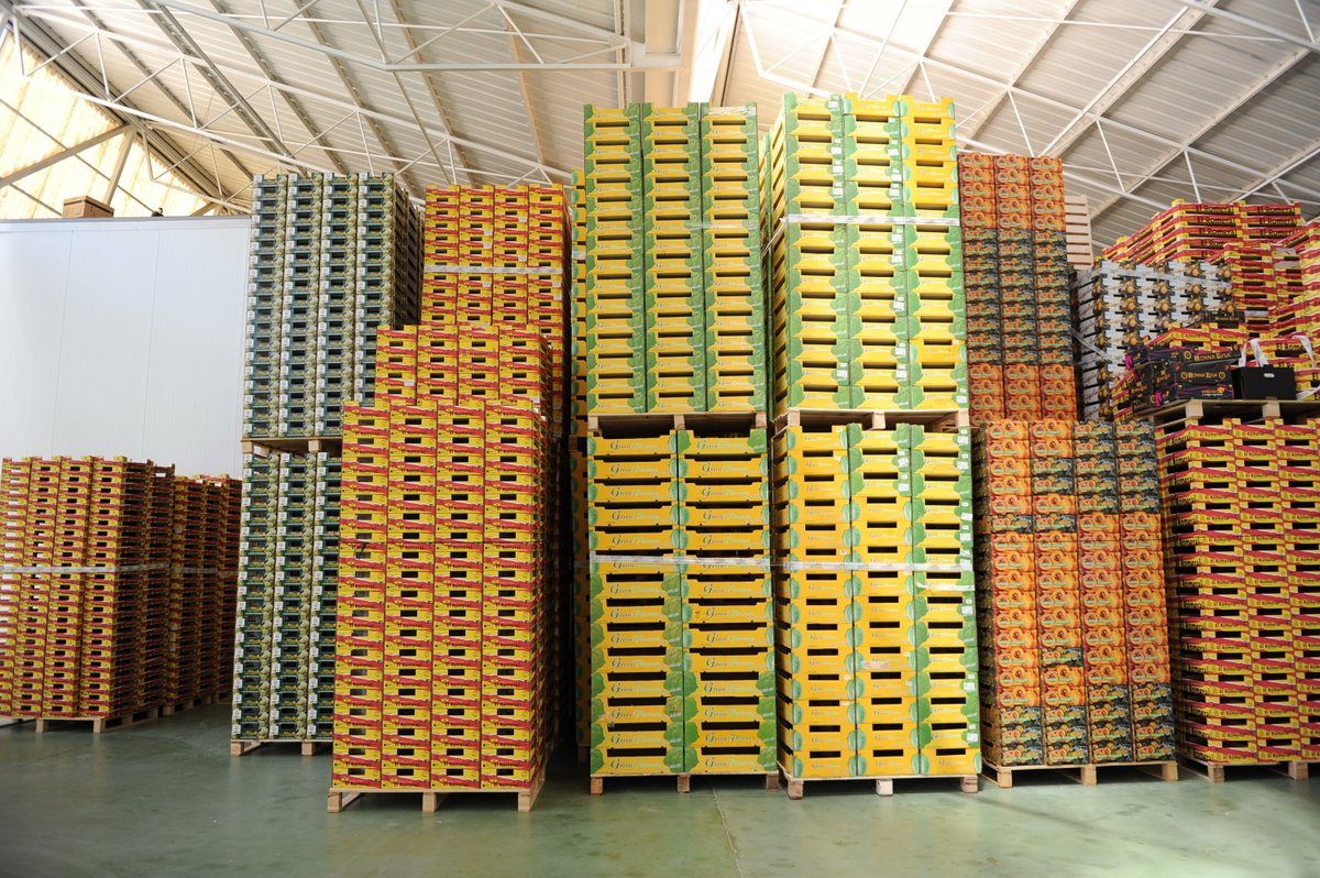 Última jornada #Fruitlogistica para las cooperativas granadinas, exportadoras en 2016 a Alemania (41%), Países Bajos (16%) y Francia (11%)