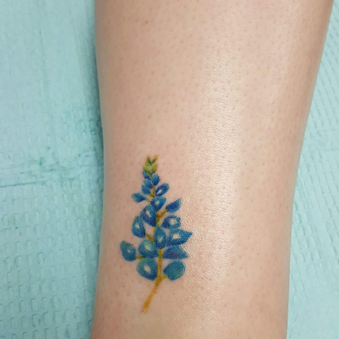 Bluebonnet tattoo on the left leg.