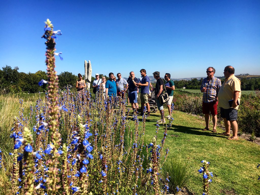 Tamboerskloof's tweet photo. A perfect day to host @Elvamawines &amp; Belgian friends here on #Kleinood today - let's taste some wine! https://t.co/nvfN5VkwlT