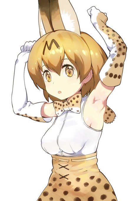 あなたは腋が好きなけものなんだね 