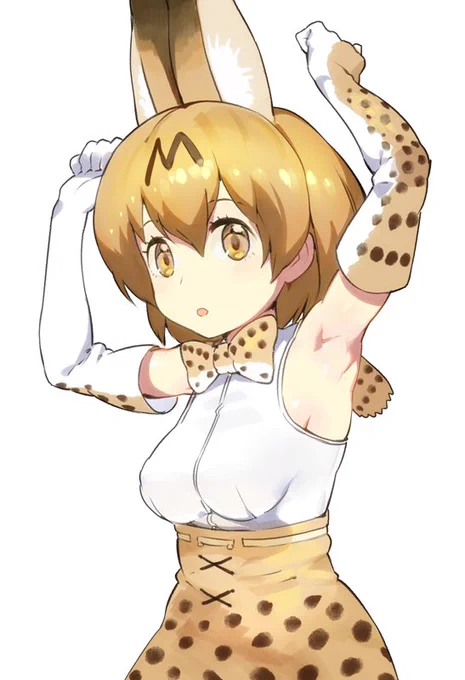 あなたは腋が好きなけものなんだね 