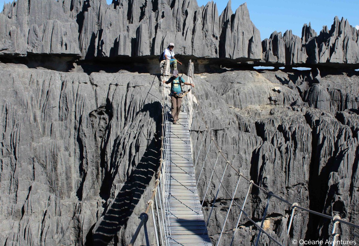 OceaneAventures's tweet photo. Inoubliable : la traversée du pont suspendu ! https://t.co/bUHYkFaXM7 #Madagascar #Tsingy #bemaraha #voyage https://t.co/MHOtKlrvDx