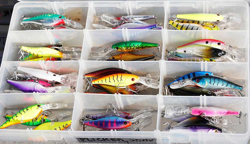 PescaSpRomano's tweet photo. More tips for getting into #fishing   https://t.co/WsnWO6gE9l https://t.co/M66ZUkdXpx